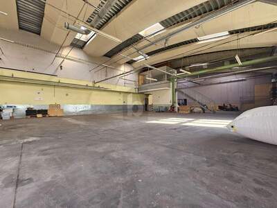 Produktion kaufen in 2413 Berg (Bild 2)