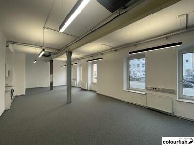 Gewerbeobjekt mieten in 1100 Wien (Bild 2)