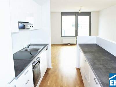 Terrassenwohnung mieten in 1110 Wien (Bild 5)