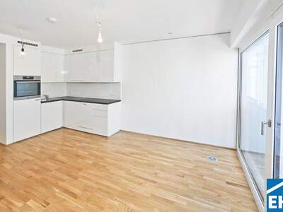 Terrassenwohnung mieten in 1030 Wien (Bild 2)