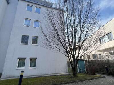 Altbauwohnung mit Balkon mieten in 1016 Wien (Bild 3)