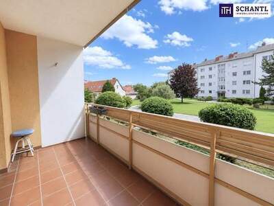 Wohnung kaufen in 2435 Ebergassing