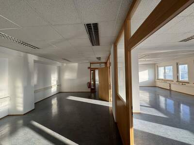 Gewerbeobjekt mieten in 2351 Wiener Neudorf