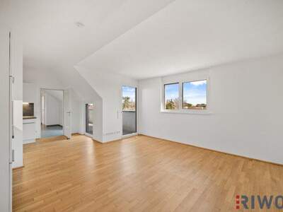 Terrassenwohnung kaufen in 1220 Wien (Bild 1)