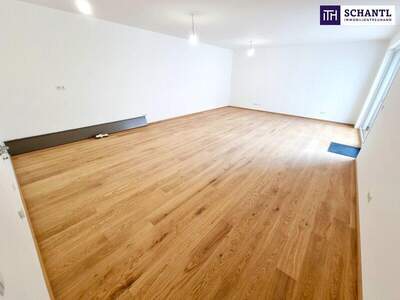 Terrassenwohnung kaufen in 1230 Wien (Bild 3)