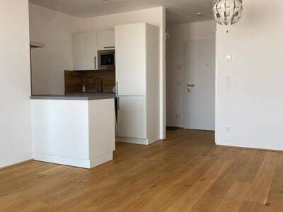 Wohnung mieten in 2020 Hollabrunn