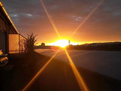 Wohnung mit Balkon mieten in 1100 Wien (Bild 1)