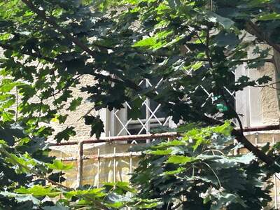 Grundstück kaufen in 5020 Salzburg