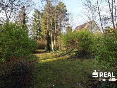 Grundstück kaufen in 4050 Traun (Bild 3)