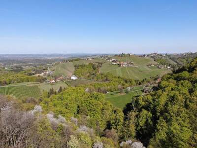 Haus kaufen in 8441 Sankt Andrä (Bild 4)