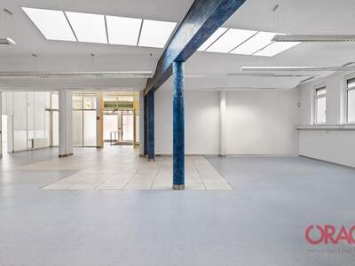Gewerbeobjekt mieten in 1030 Wien (Bild 5)