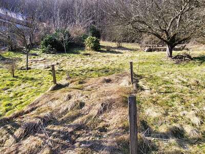 Grundstück kaufen in 3021 Pressbaum (Bild 2)