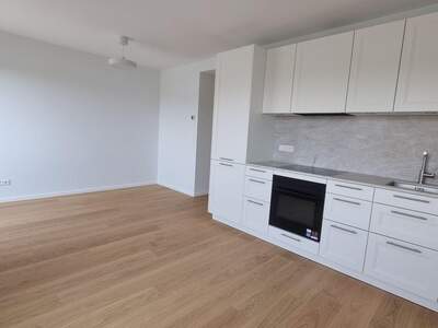 Wohnung mieten in 1010 Wien (Bild 1)