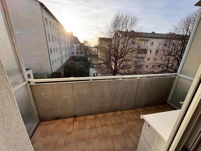 Terrassenwohnung mieten in 4470 Enns (Bild 4)