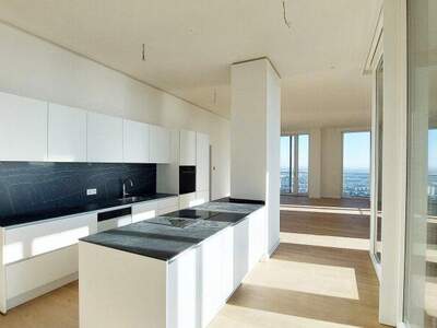 Terrassenwohnung mieten in 1220 Wien (Bild 2)