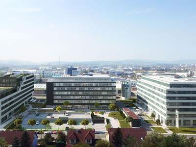 Gewerbeobjekt mieten in 1230 Wien (Bild 3)