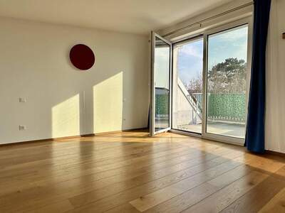 Haus kaufen in 1220 Wien