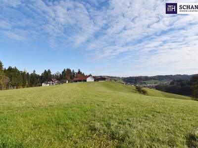 Grundstück kaufen in 8503 St. Josef (Bild 4)