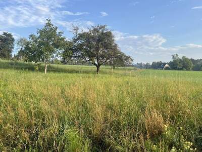 Grundstück kaufen in 8042 Graz