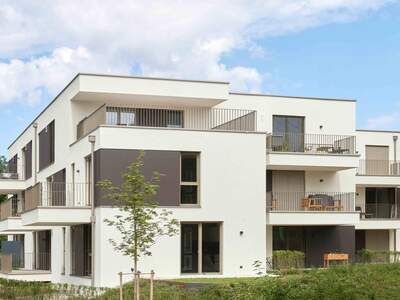 Anlageobjekt kaufen in 4400 Steyr