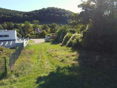 Grundstück kaufen in 2371 Weissenbach