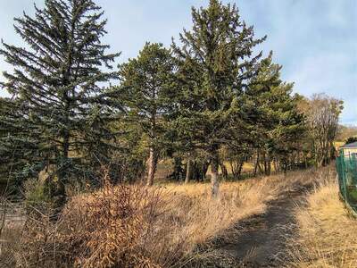 Grundstück kaufen in 1170 Wien (Bild 4)