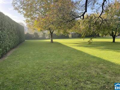 Grundstück kaufen in 1230 Wien