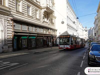 Gewerbeobjekt mieten in 1070 Wien (Bild 1)