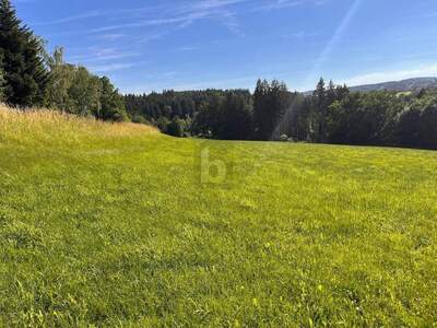 Grundstück kaufen in 4092 Esternberg