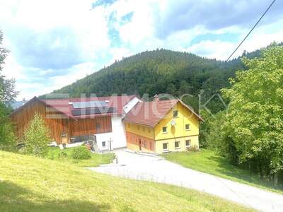 Bauernhaus kaufen in 4324 Rechberg (Bild 1)
