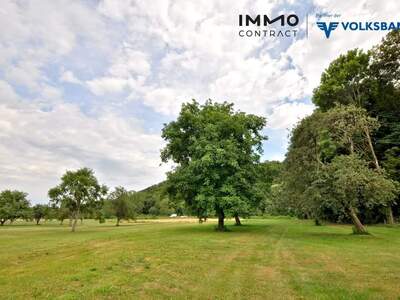 Gewerbeobjekt kaufen in 7473 Hannersdorf