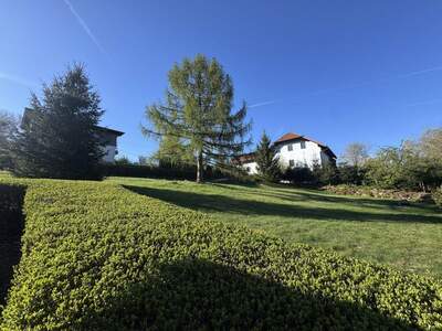 Grundstück kaufen in 4201 Eidenberg