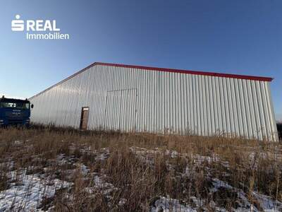 Lager kaufen in 2272 Ringelsdorf (Bild 5)