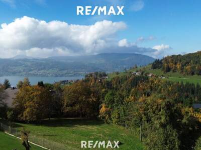 Grundstück kaufen in 4853 Steinbach (Bild 5)