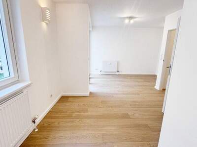 Terrassenwohnung kaufen in 1020 Wien (Bild 2)