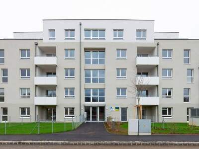 Wohnung mieten in 2020 Hollabrunn