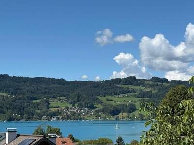 Haus kaufen in 4853 Steinbach