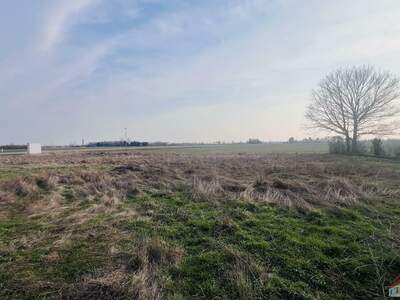 Grundstück kaufen in 2201 Seyring (Bild 1)