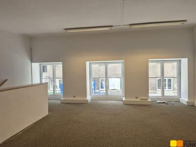 Gewerbeobjekt mieten in 1020 Wien (Bild 2)