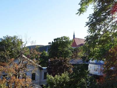 Terrassenwohnung mieten in 2340 Mödling