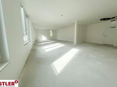 Gewerbeobjekt mieten in 2340 Mödling (Bild 3)