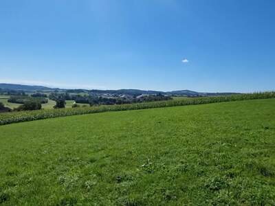 Gewerbeobjekt kaufen in 4223 Bodendorf (Bild 1)
