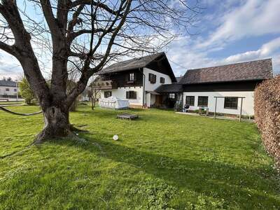 Haus kaufen in 4851 Gampern (Bild 1)