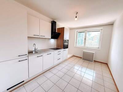 Wohnung provisionsfrei mieten in 8042 Graz