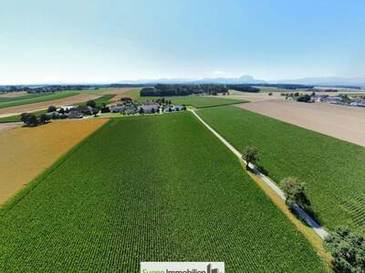 Gewerbeobjekt kaufen in 4654 Bad Wimsbach (Bild 4)