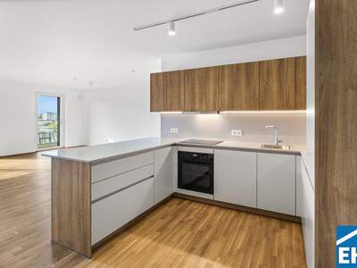 Terrassenwohnung mieten in 1200 Wien (Bild 2)