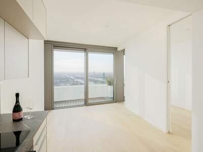 Terrassenwohnung mieten in 1220 Wien (Bild 1)