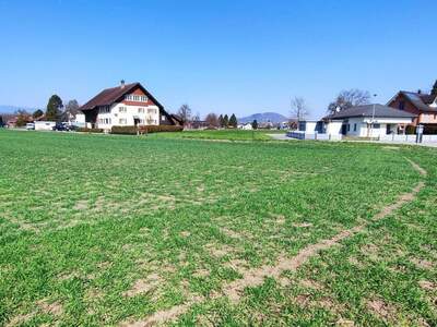 Haus mit Garten kaufen in 6812 Meiningen (Bild 1)