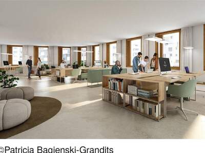 Gewerbeobjekt mieten in 1220 Wien (Bild 3)