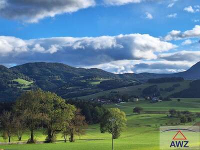 Gewerbeobjekt kaufen in 8162 Passail